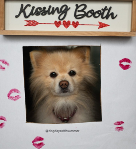 Doggie kissing booth
